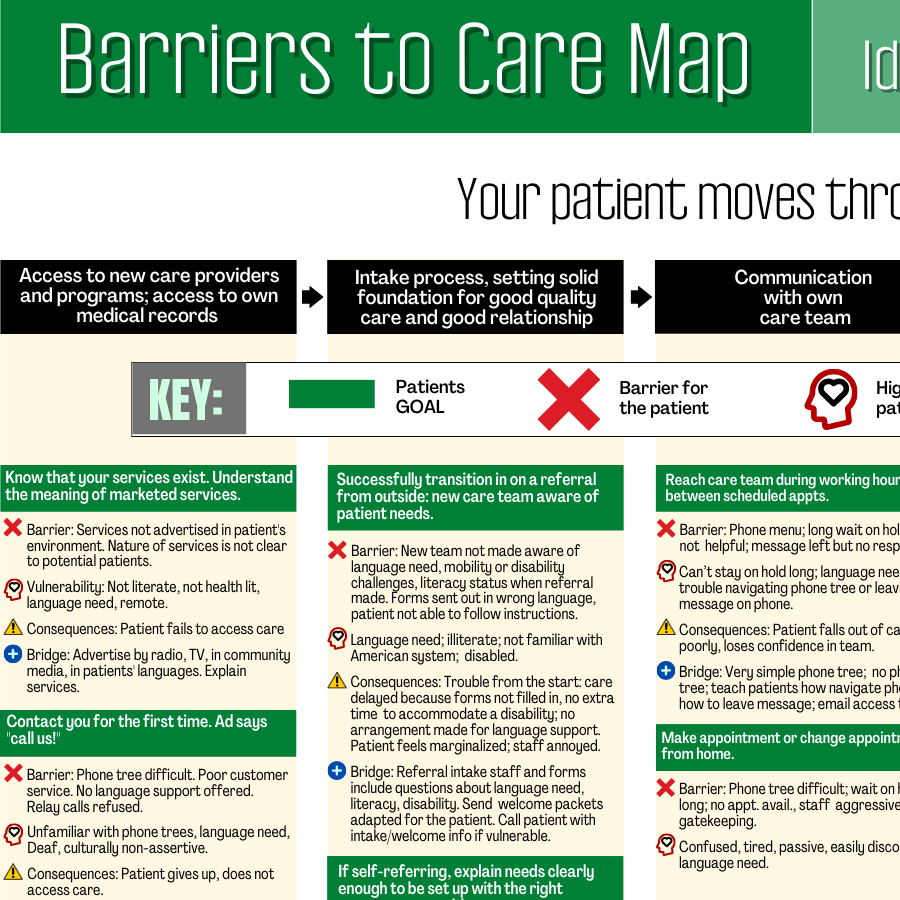 small piece of the Barriers to Care Map